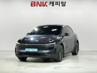 Model Y