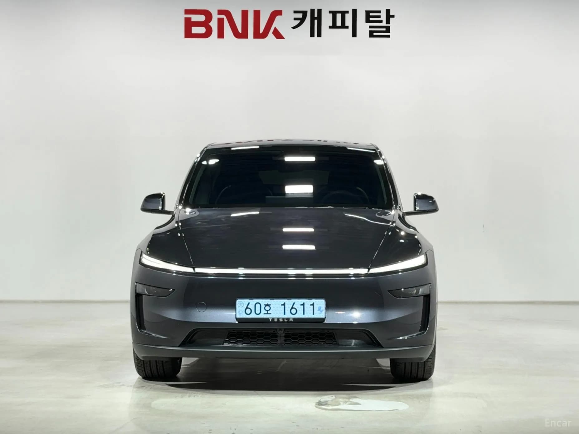 Model Y