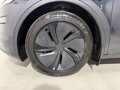 Model Y