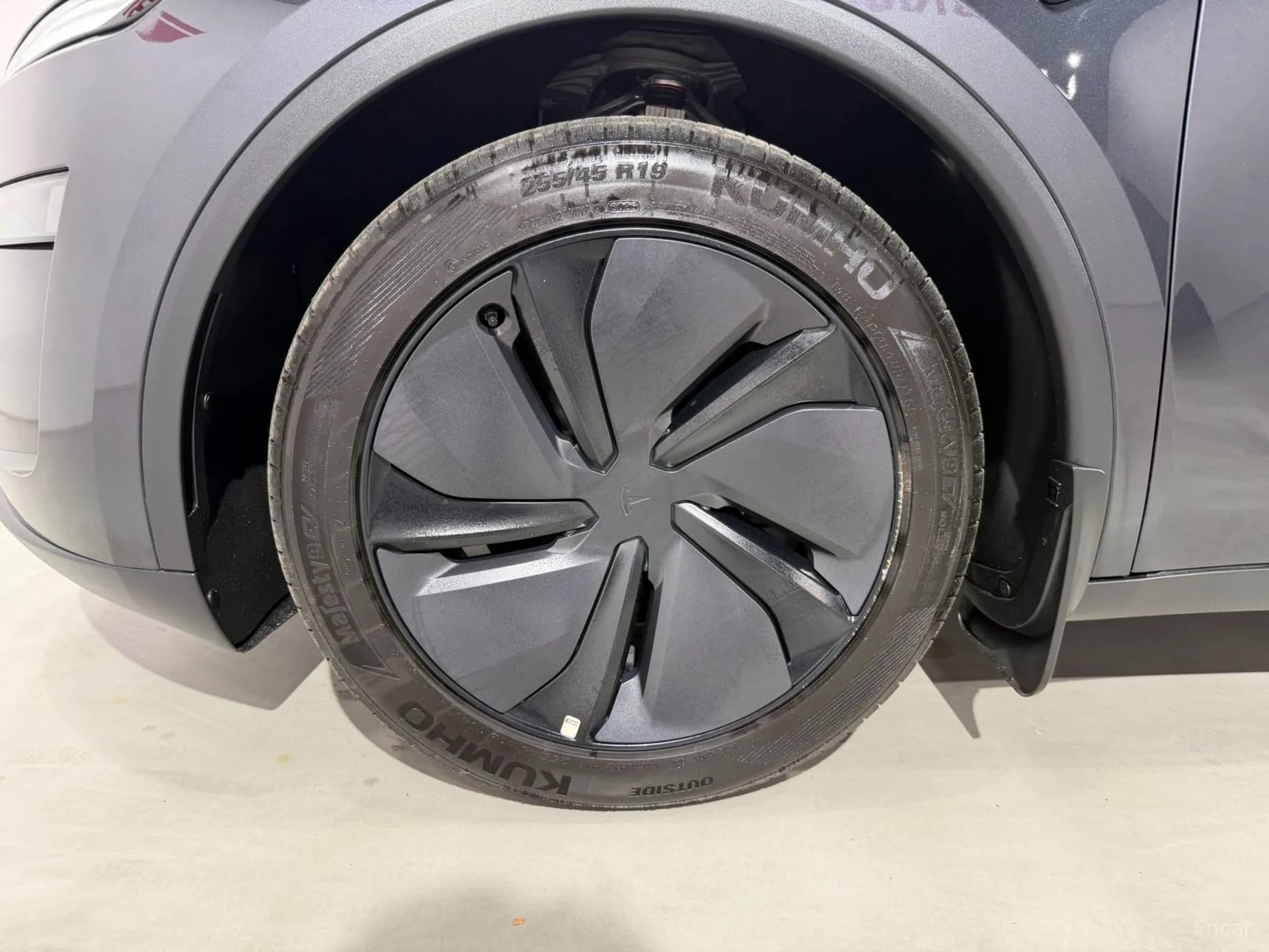 Model Y