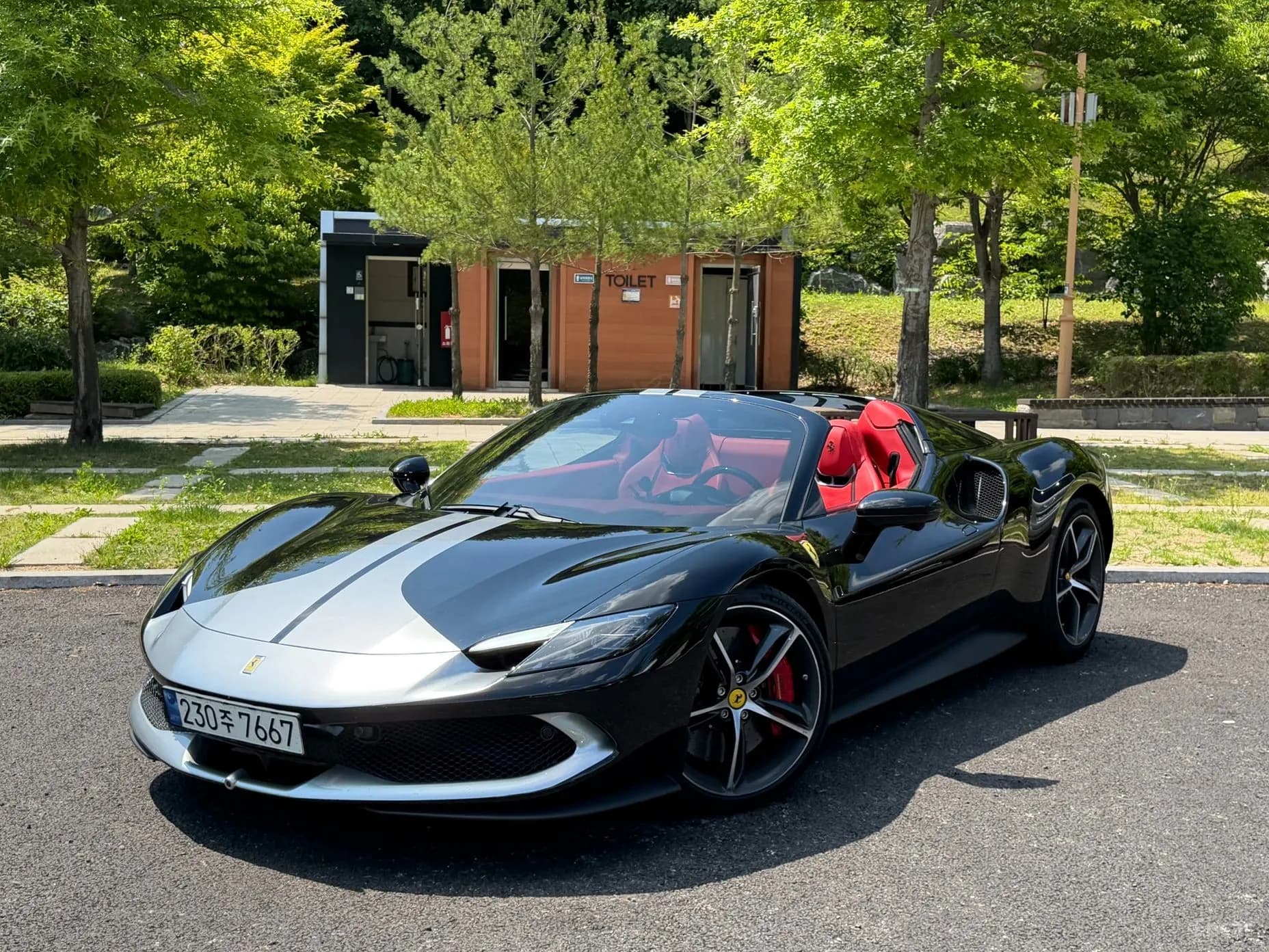 296 GTS