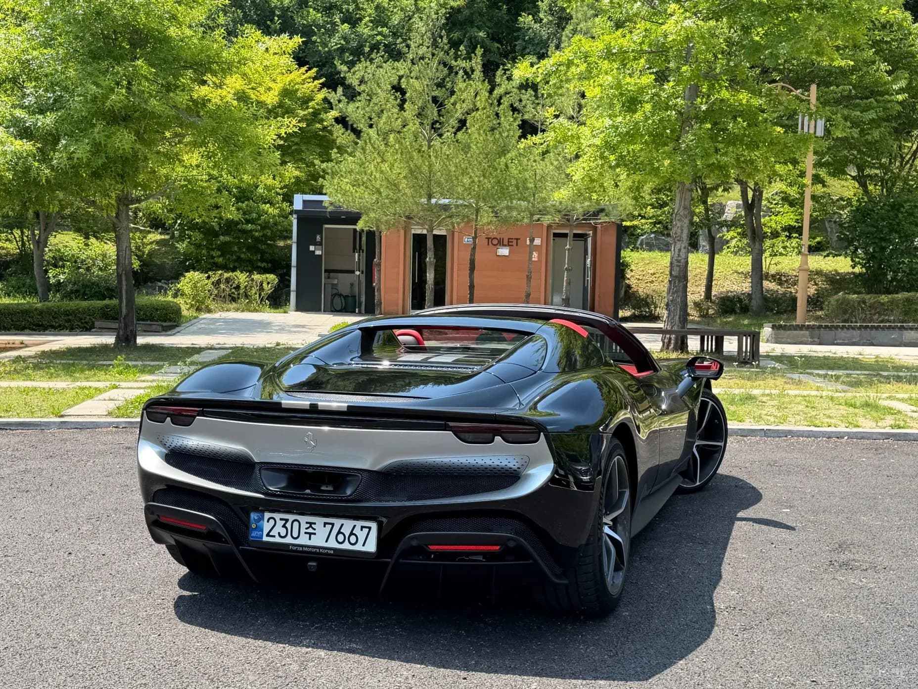 296 GTS