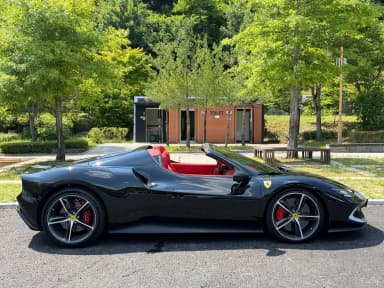 296 GTS