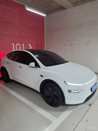 Model Y