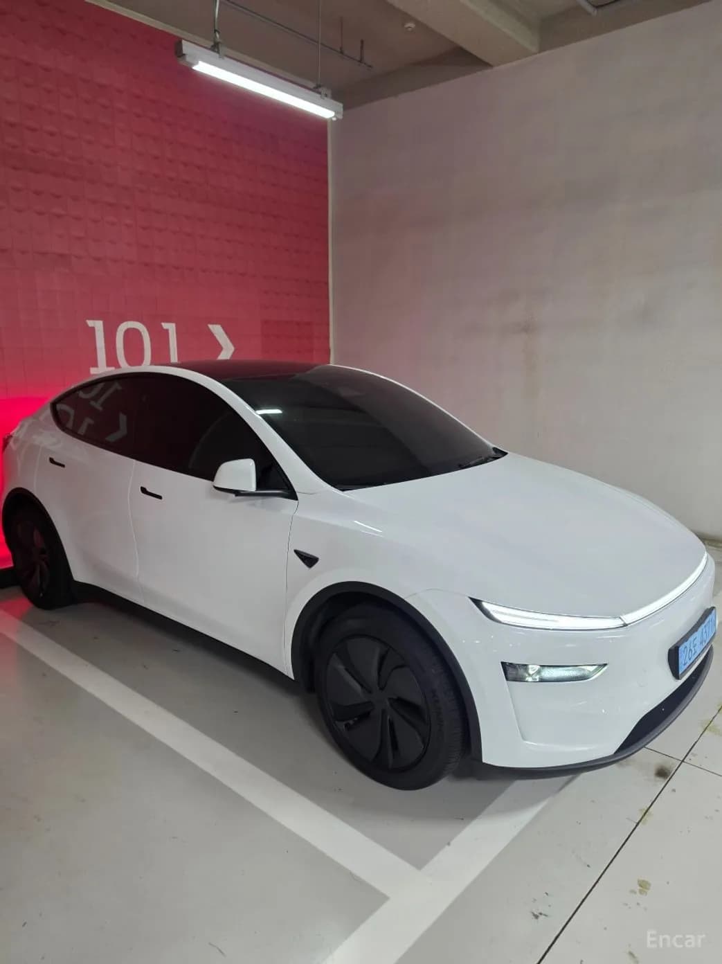 Model Y