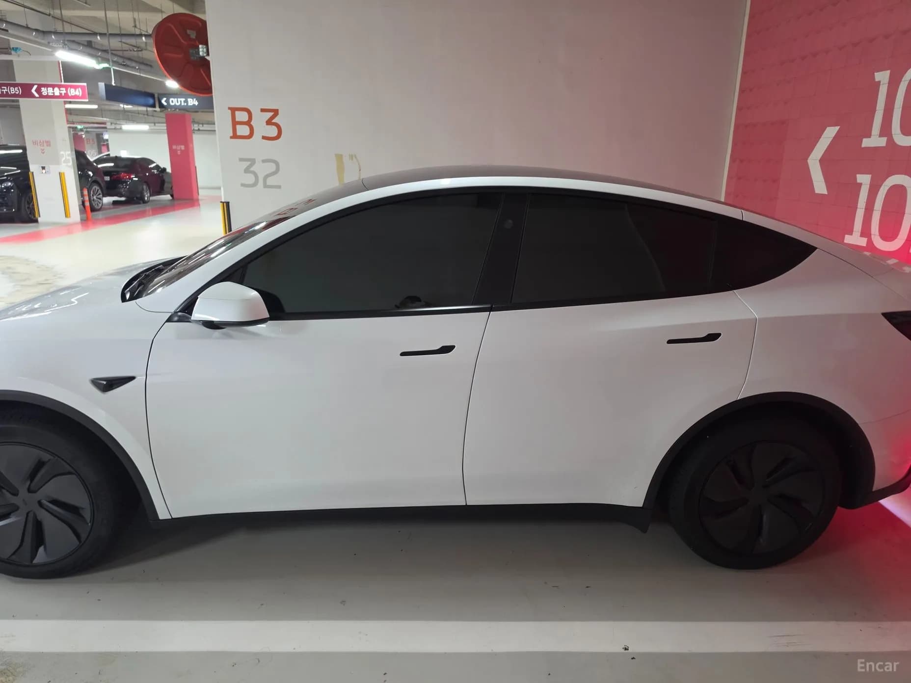 Model Y