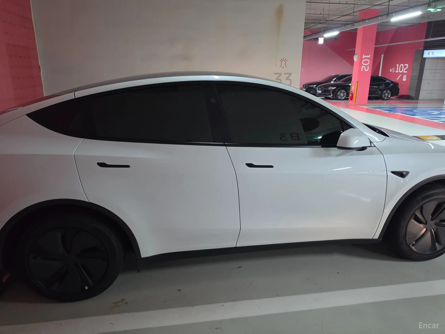Model Y