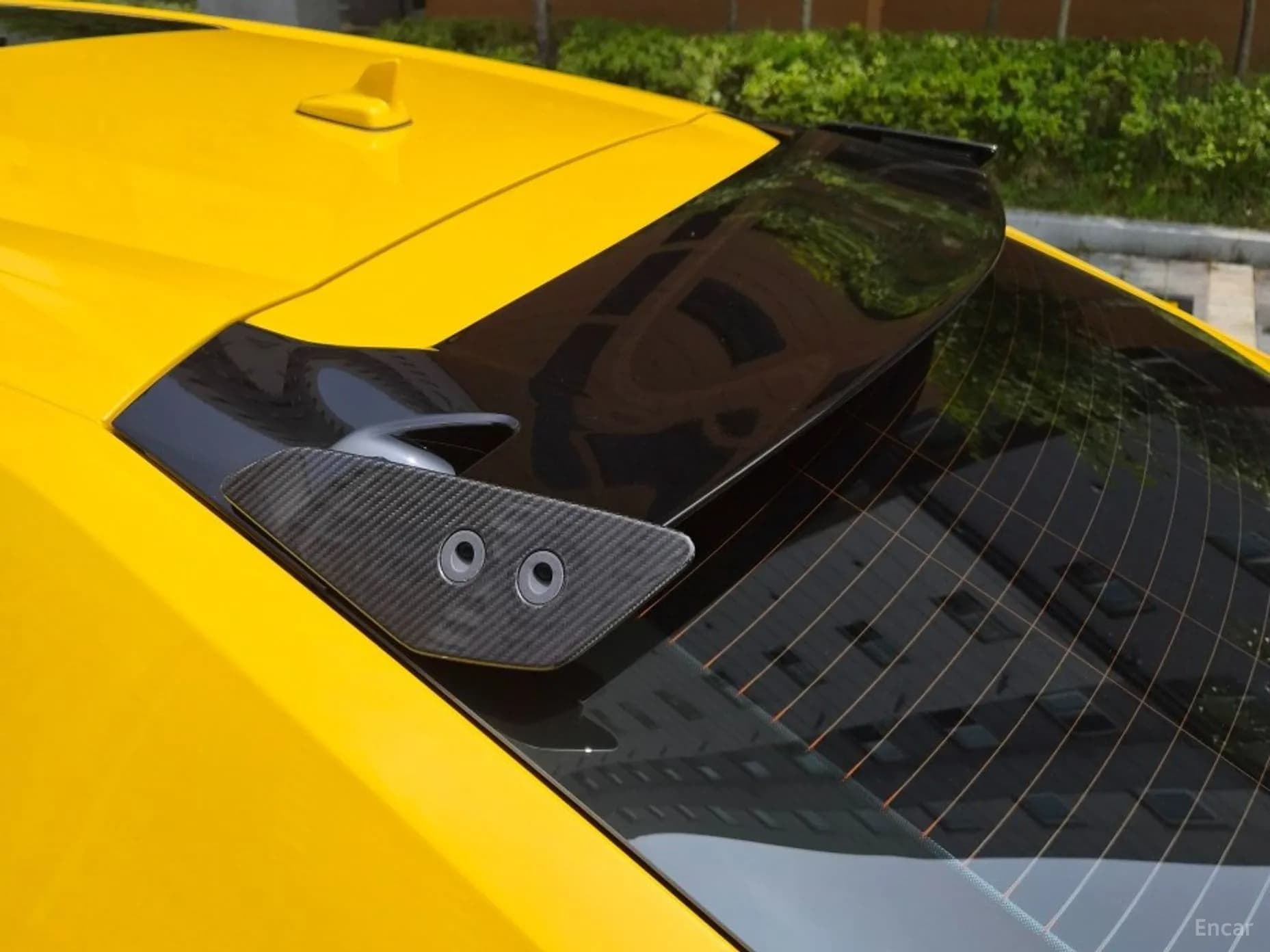 Urus