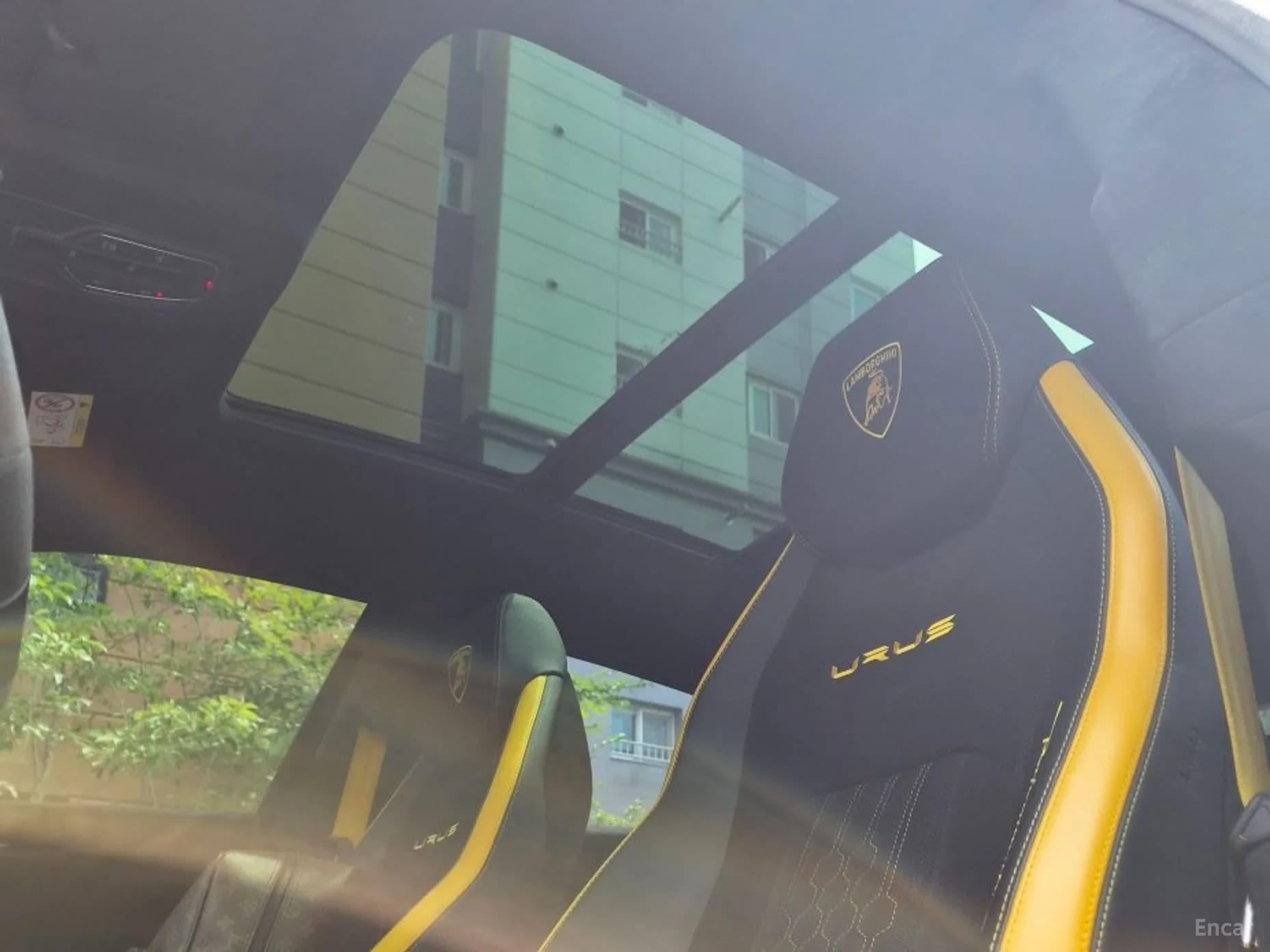 Urus