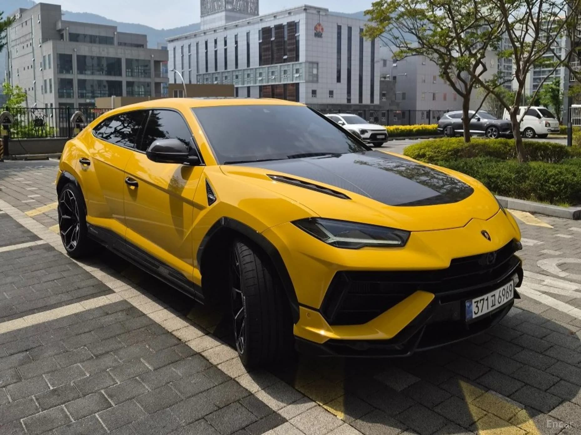 Urus