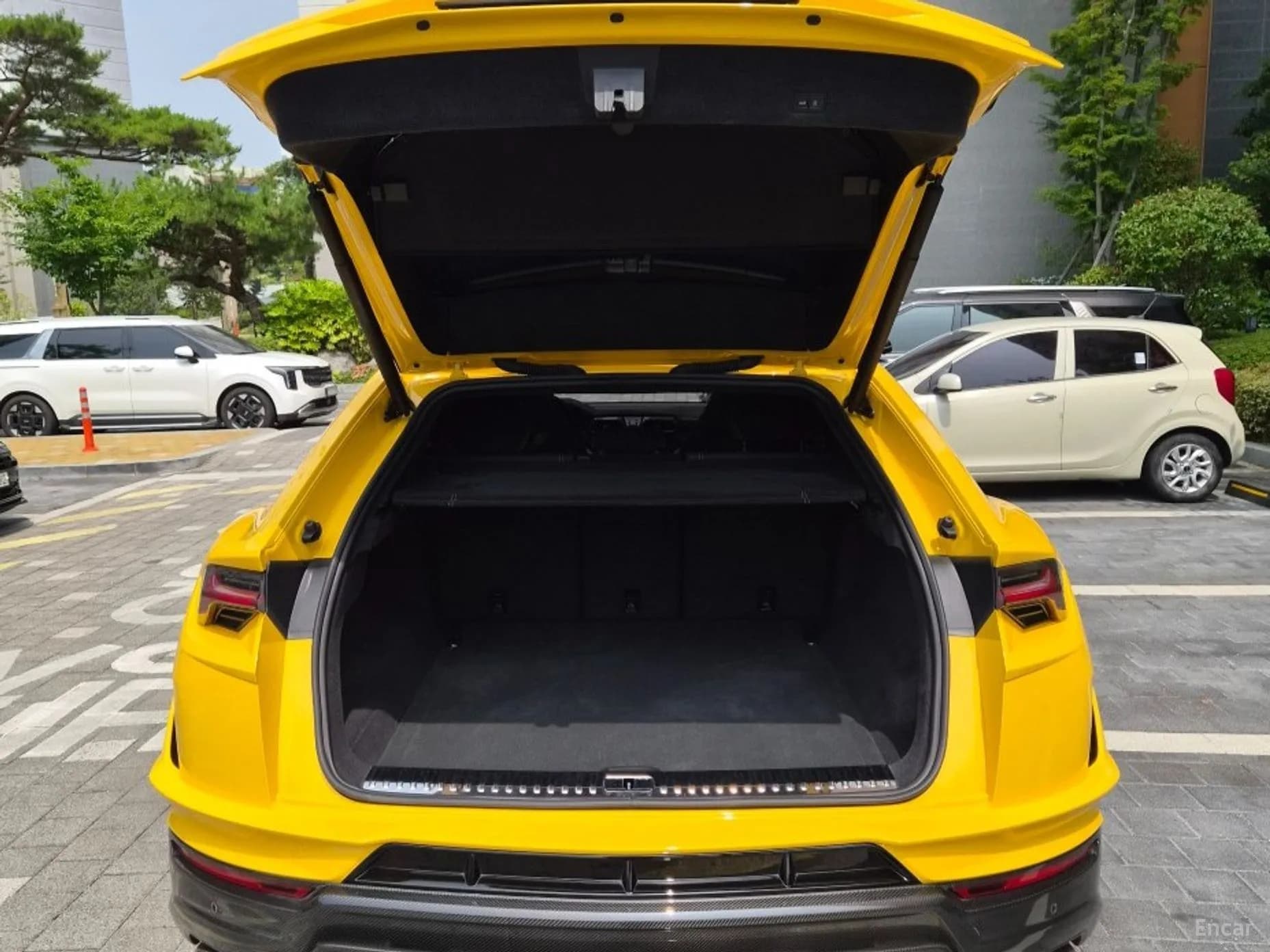Urus