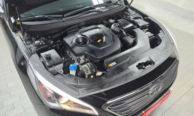 LF Sonata