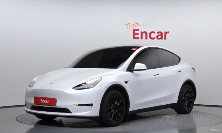 Model Y