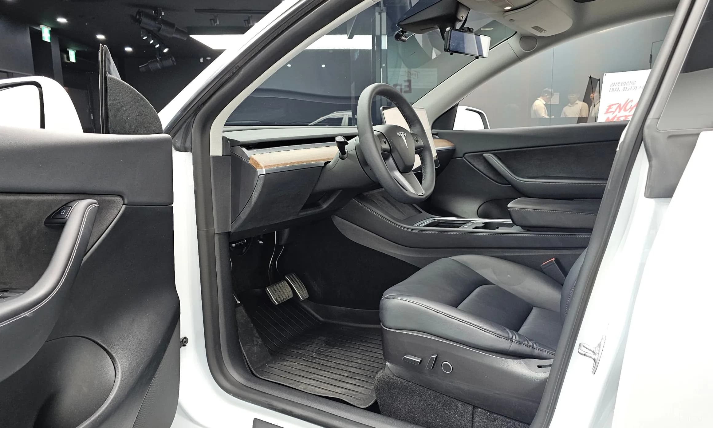 Model Y