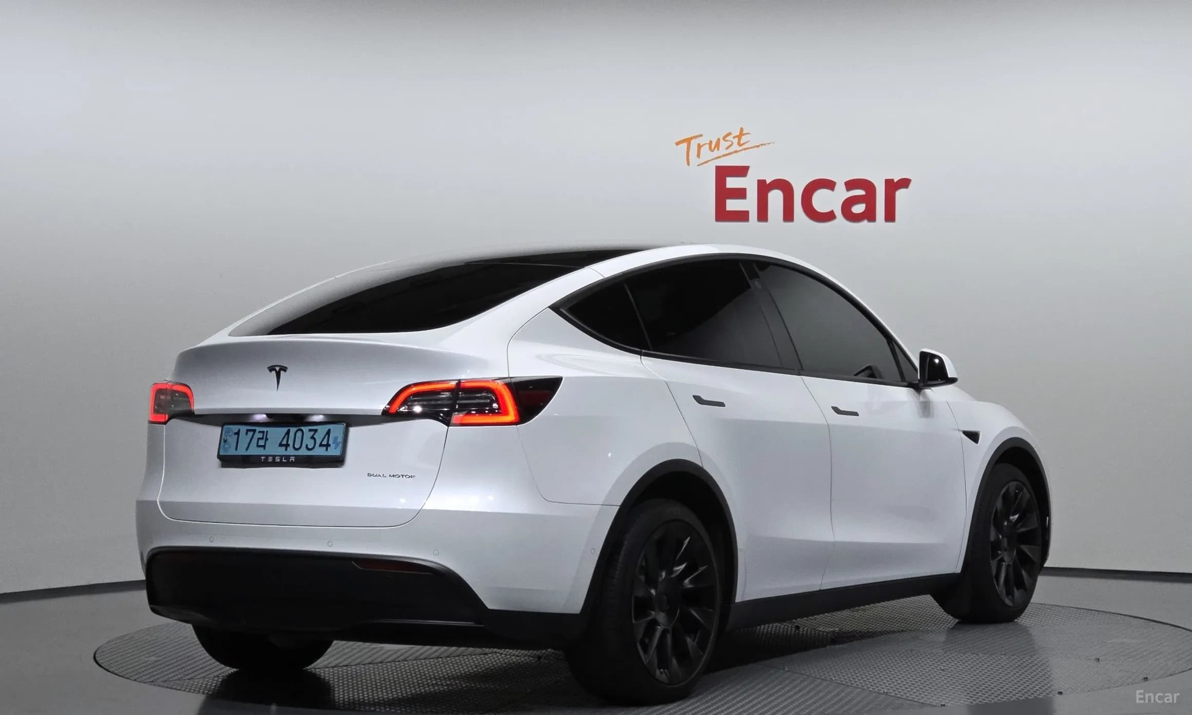 Model Y