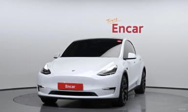 Model Y