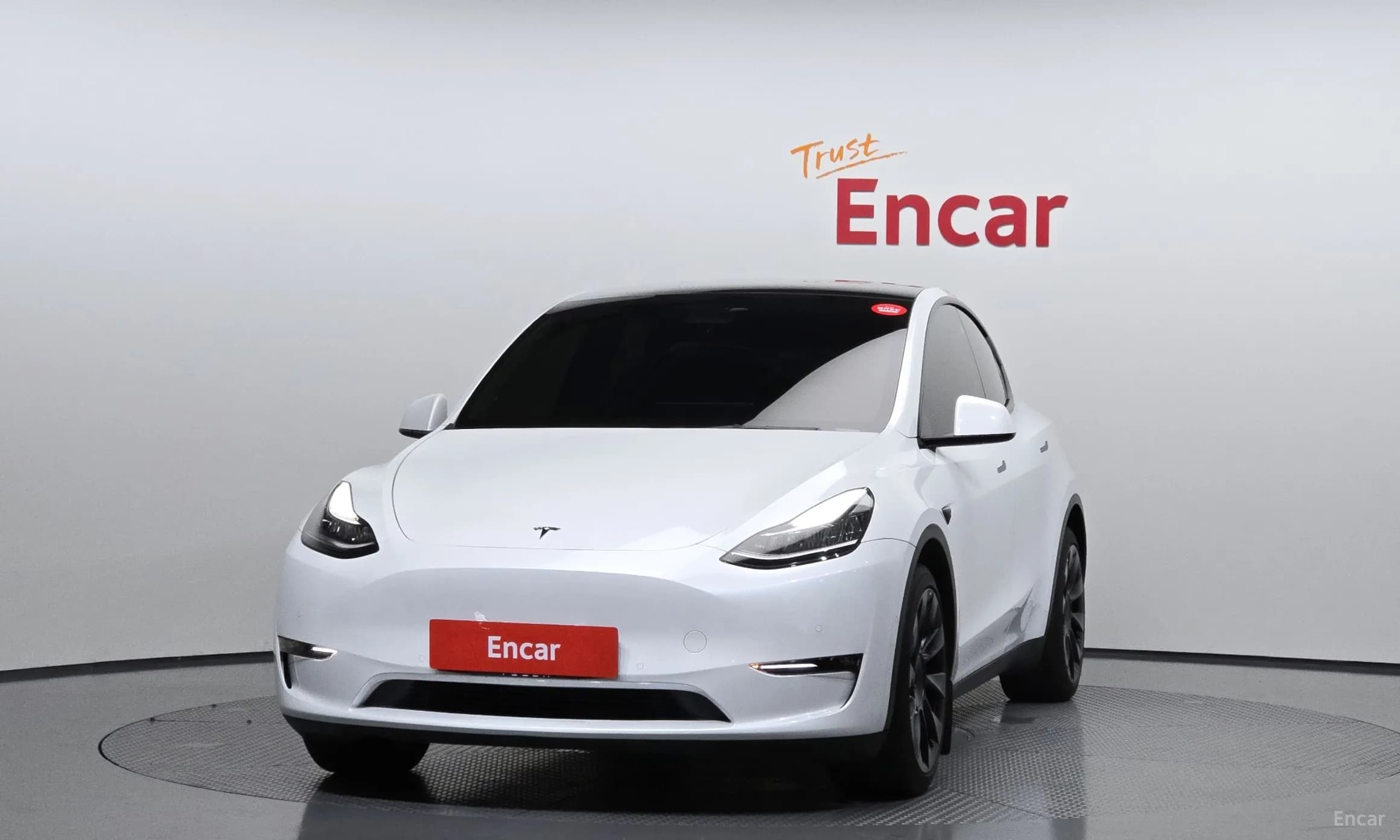 Model Y