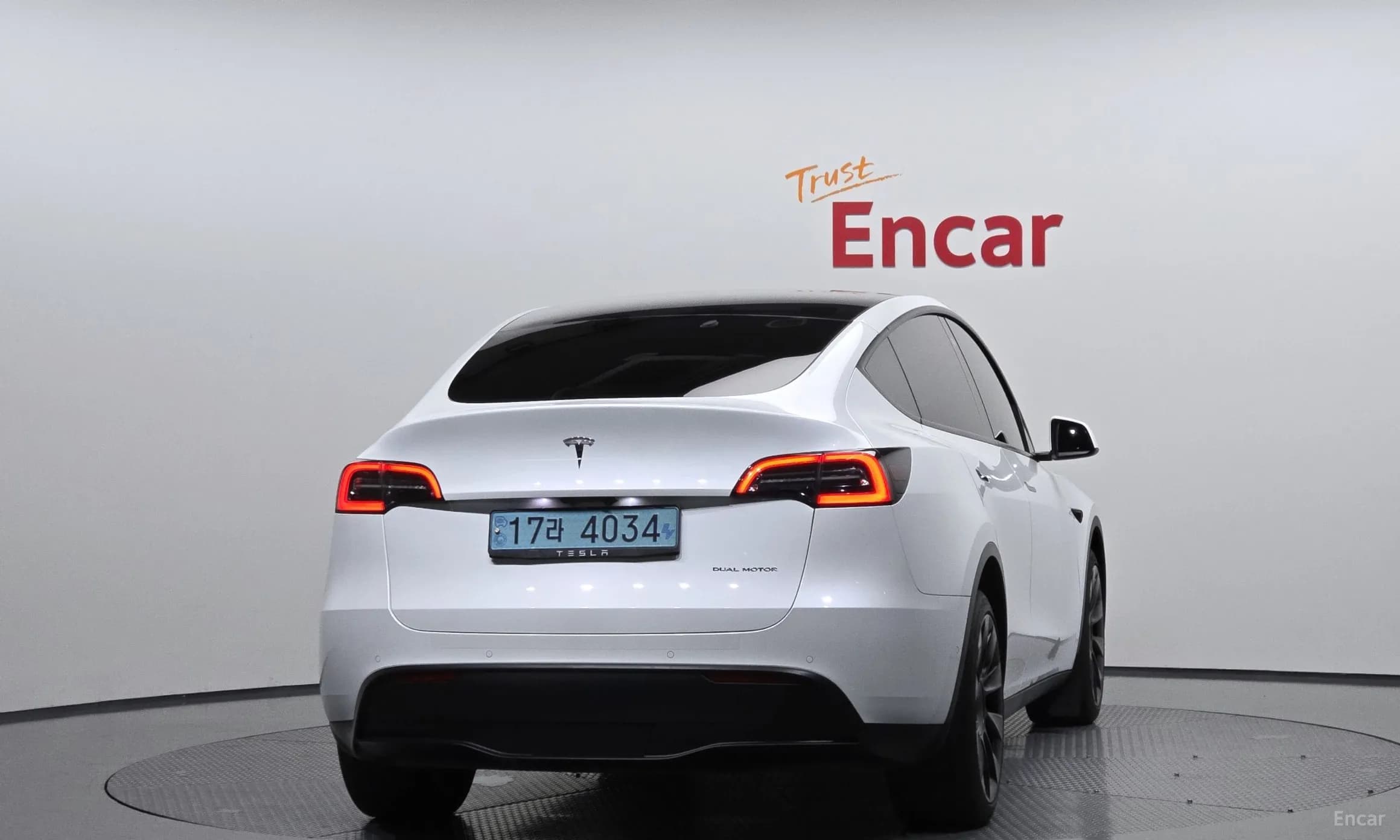 Model Y