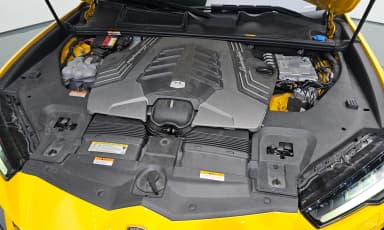 Urus