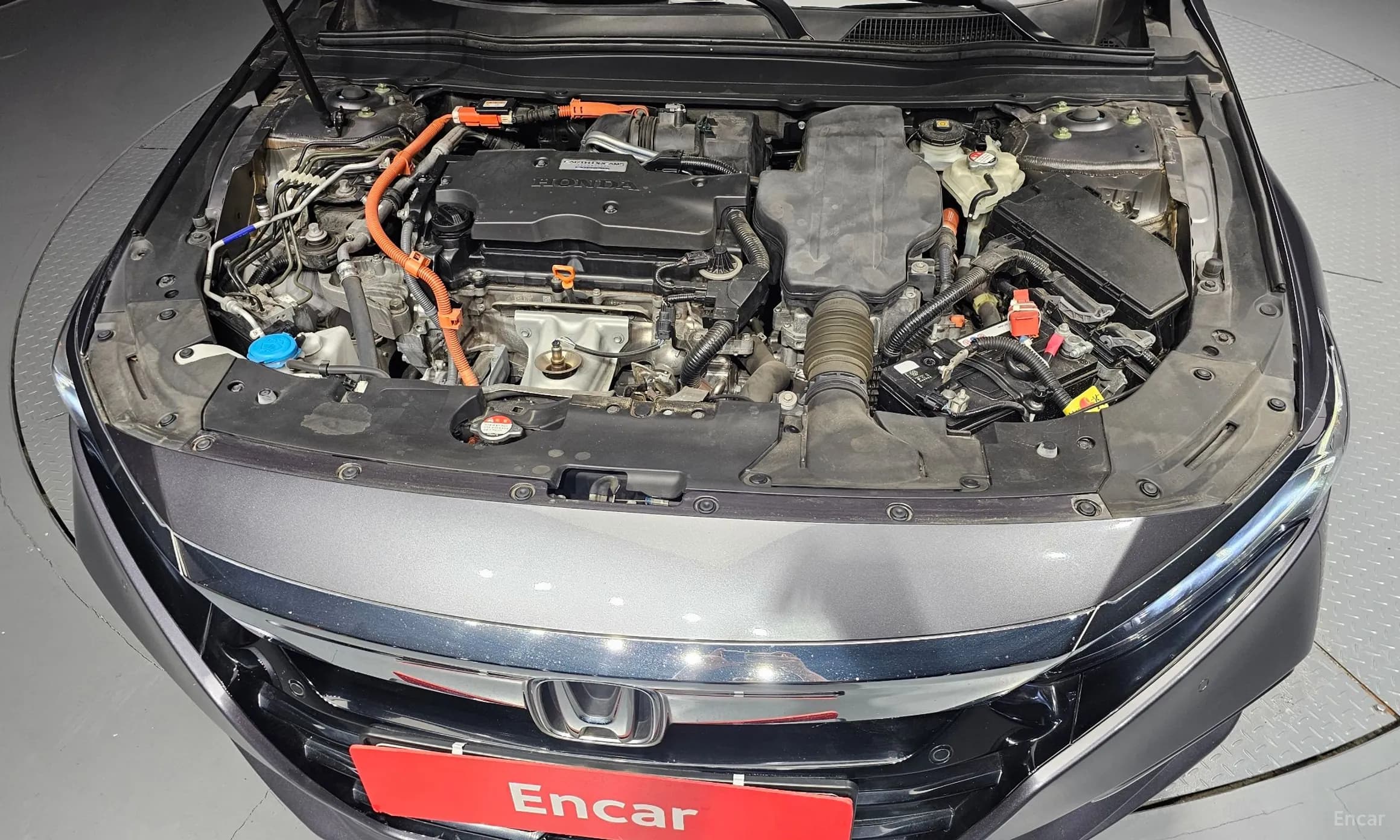Accord 10th Generation