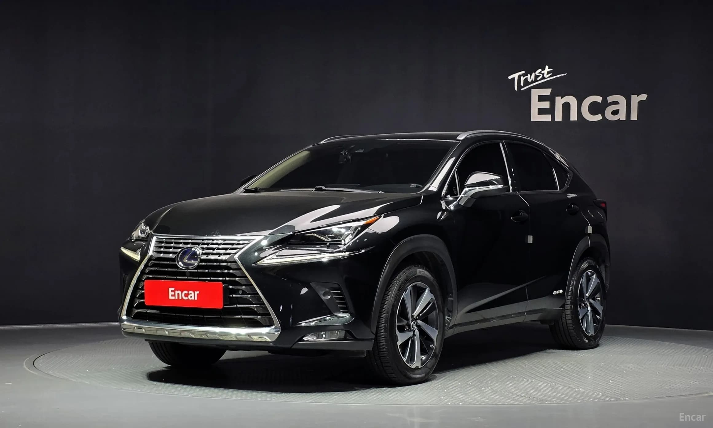 NX300h