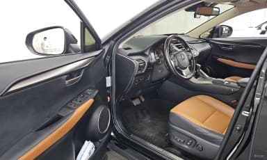 NX300h