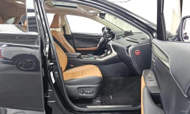 NX300h