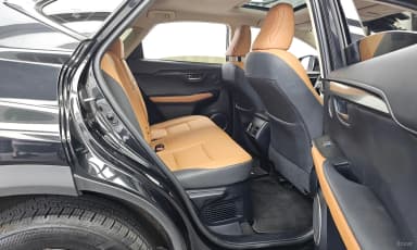 NX300h