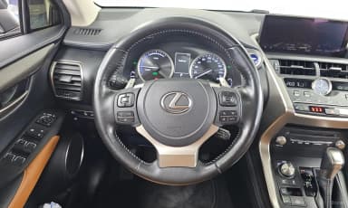 NX300h