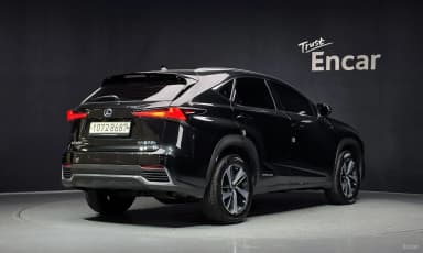 NX300h