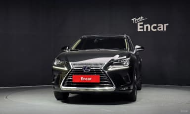 NX300h