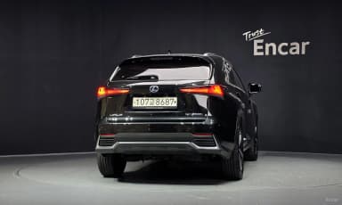 NX300h