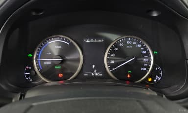 NX300h