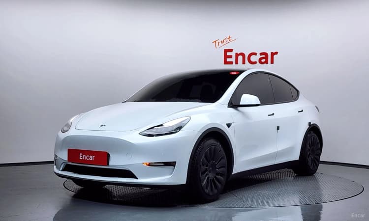 Model Y