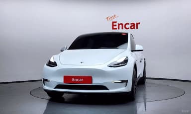 Model Y