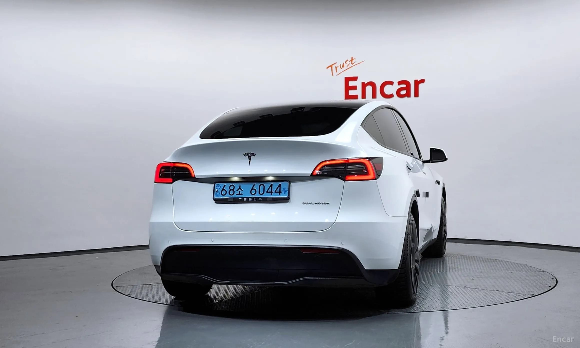 Model Y