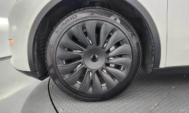 Model Y