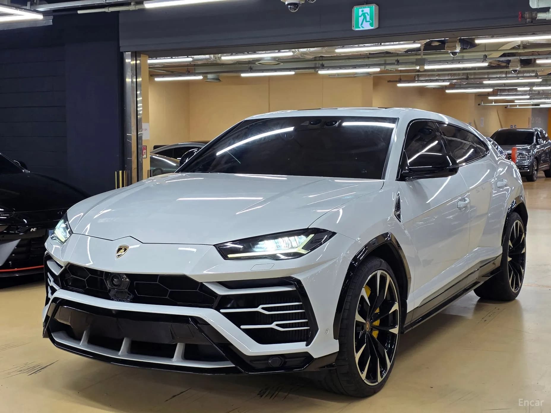 Urus