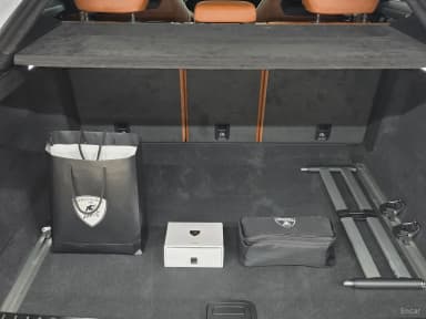 Urus