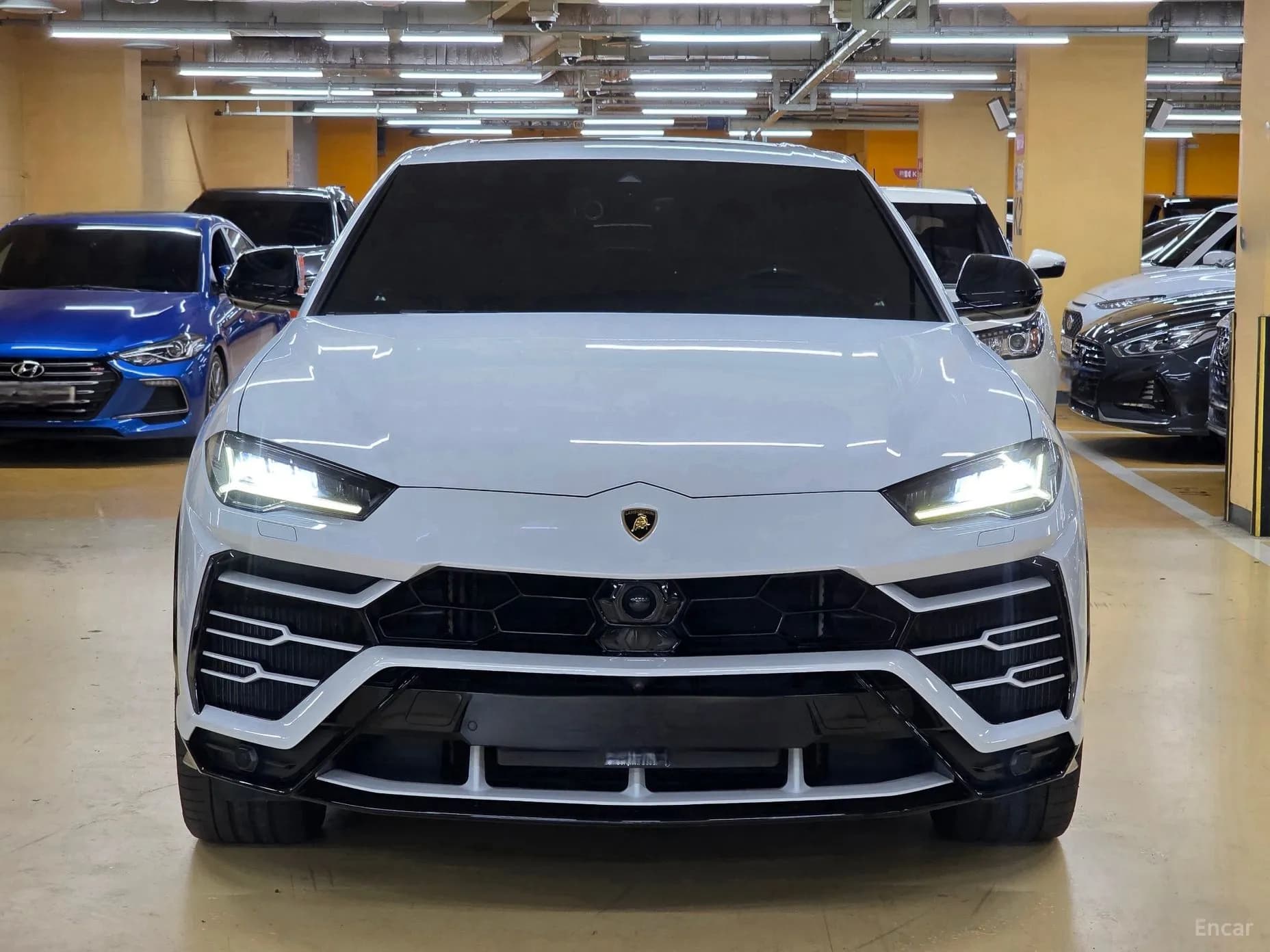 Urus