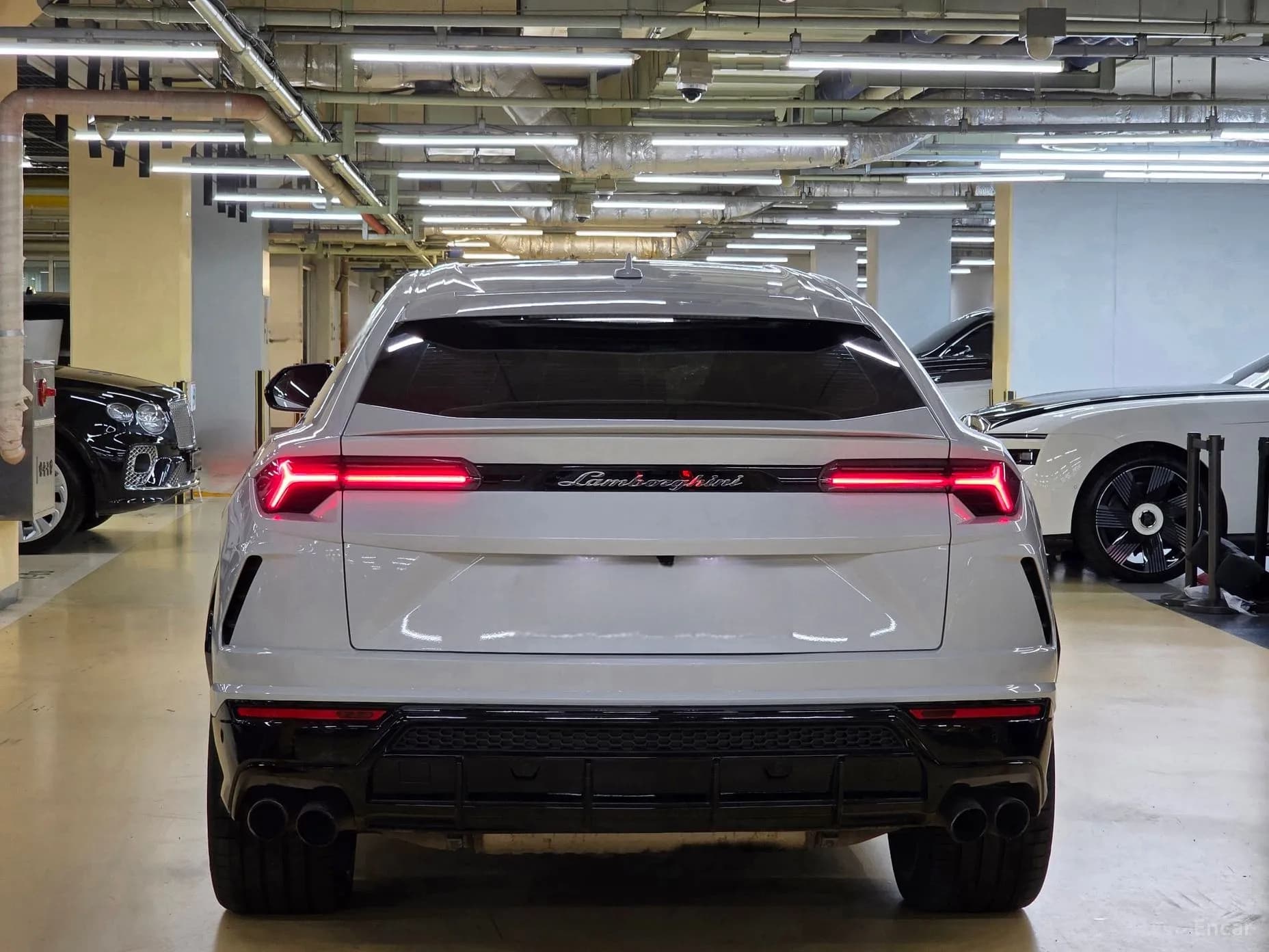 Urus