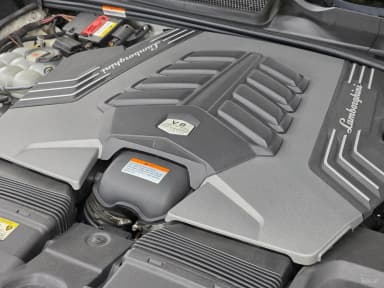 Urus
