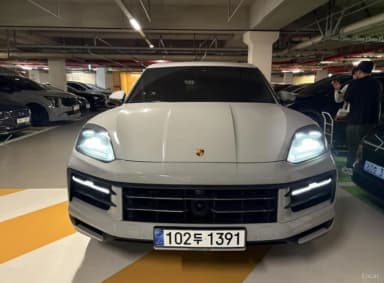 Cayenne (PO536)