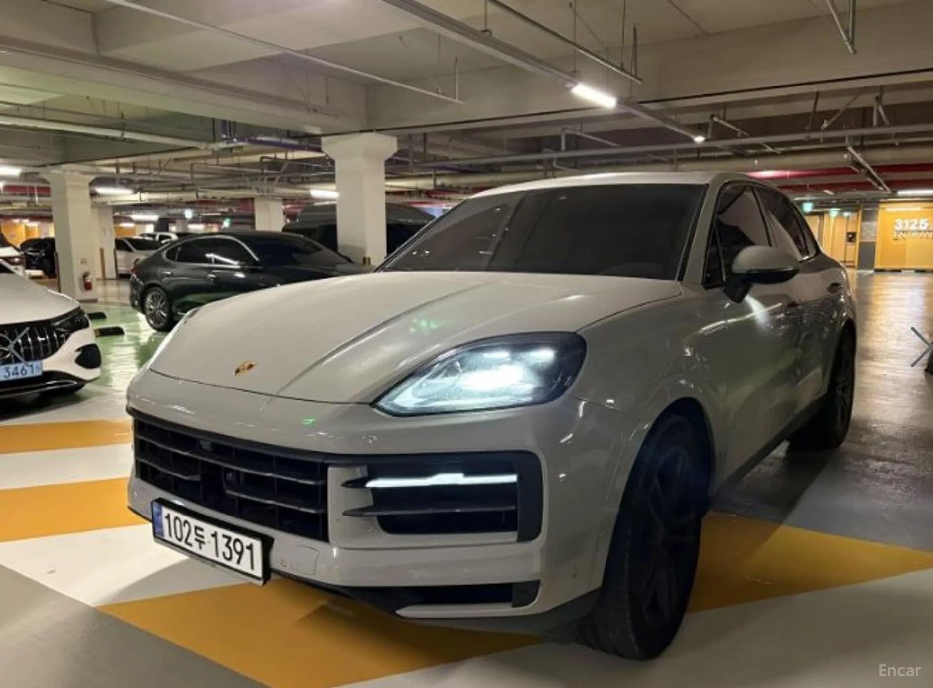 Cayenne (PO536)