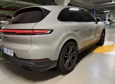 Cayenne (PO536)