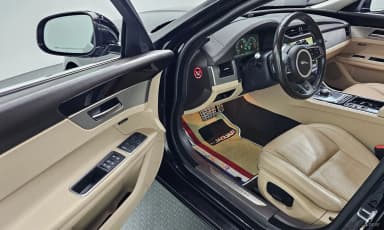 XF (x260)