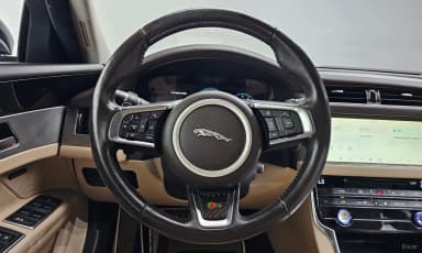 XF (x260)