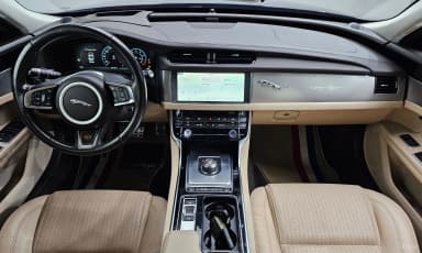 XF (x260)