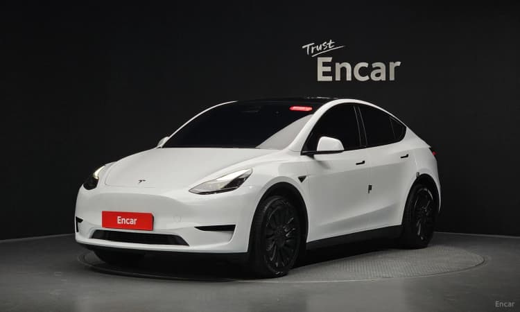 Model Y