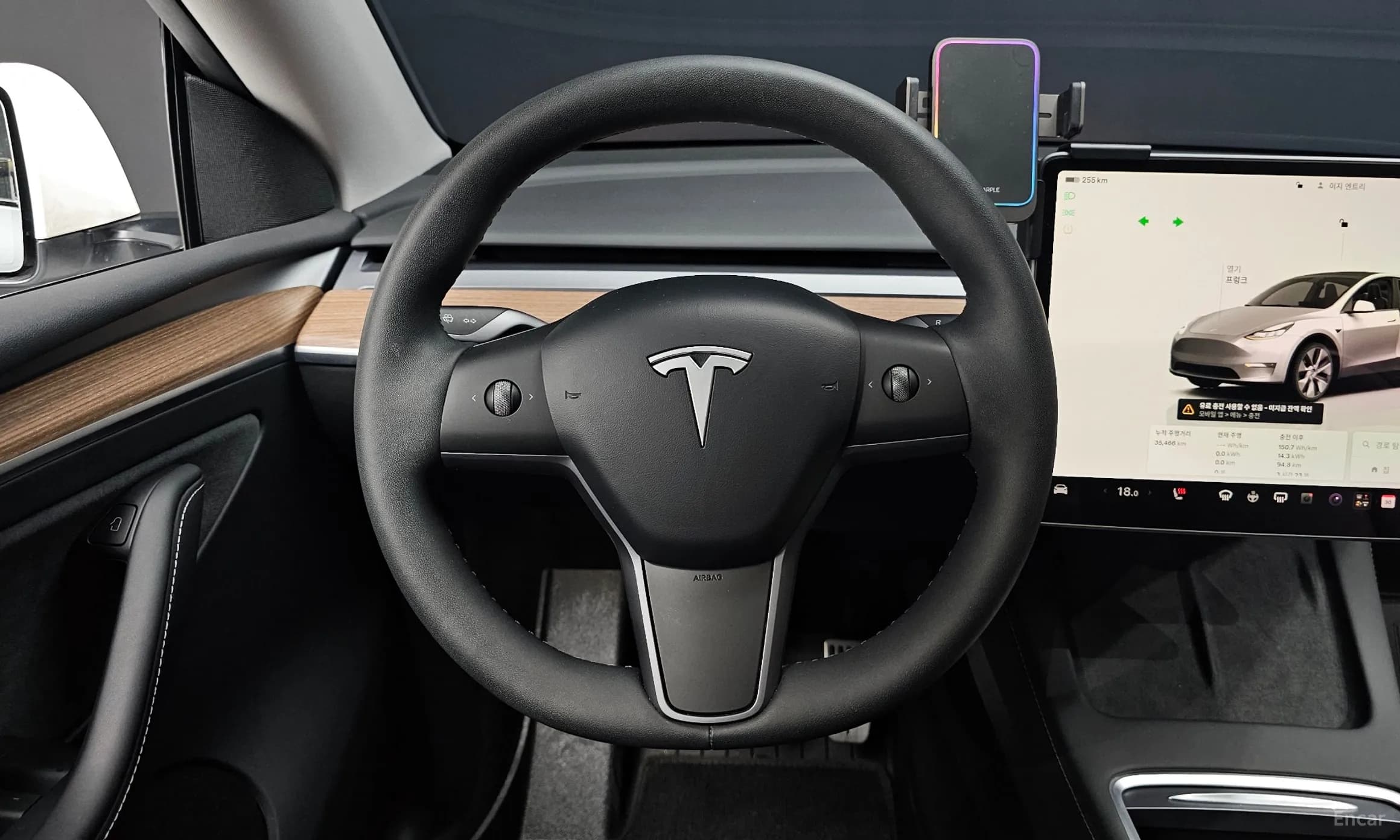 Model Y